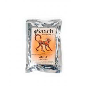 AMLA HAIR MASK by Saach Organics